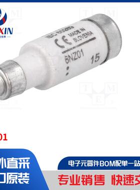 6NZ01 保险丝类型-保险丝