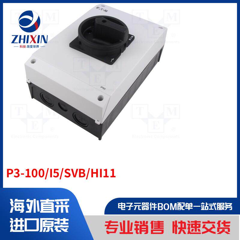 P3-100/I5/SVB/HI11 保护类型-开关断开器