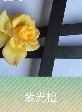 满60包邮！紫光檀木料发簪料 贴片料 雕刻料刀柄料东非黑黄檀木料