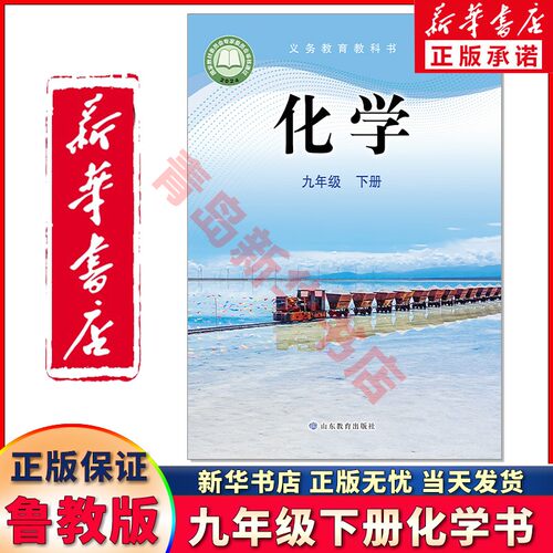 九年级下册化学鲁教版