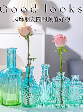 北欧浮雕玻璃花瓶渐变水培鲜花瓶客厅装饰套装插花瓶创意家居摆件