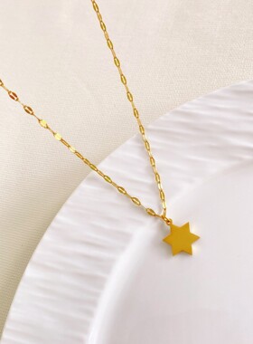 真金电镀通体钛钢小众简约光面六芒星项链时尚气质冷淡风厂家直销