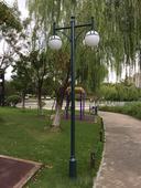 3米双头公园庭院灯高杆灯小区led路灯草坪户外灯小区道路灯景观灯