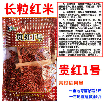 原装杂粮红米贵红1号水稻种子