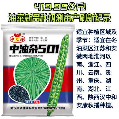 中油杂501高产杂交油菜种子