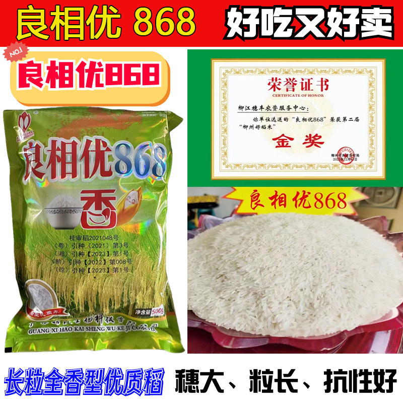 早中晚稻长粒浓香型水稻种子良相优868长粒型香米口感软糯米质好