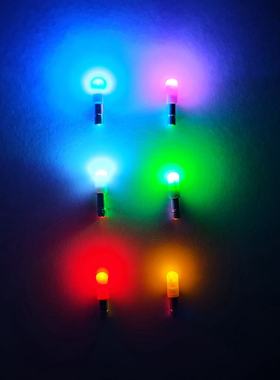 漂尾灯夜钓电子漂夜光棒钓鱼夜光漂电子发光头311电池电子夜光棒