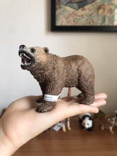 正版德国思棕熊野生动物模型儿童玩具早教认知绘本摆件