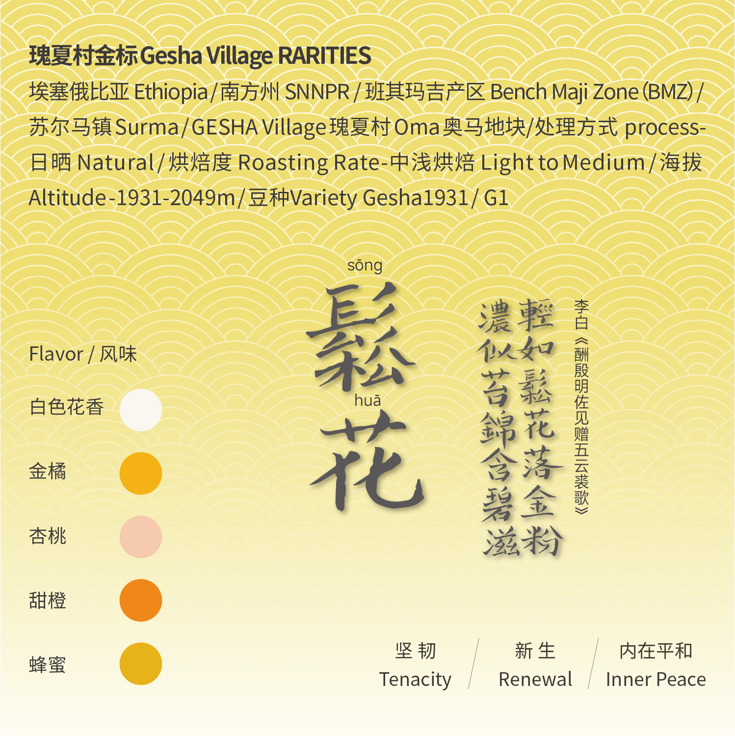 松花 埃塞 瑰夏村红标 中浅烘 蜜处理 手冲意式SOE挂耳 精品咖啡