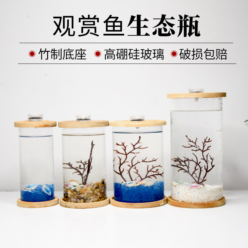 桌面鱼缸斗鱼缸微景观缸图片