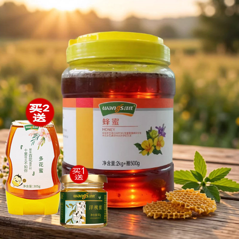 汪氏蜂蜜百花蜜 大桶装2500g土取峰巢蜜糖多花蜜企业店官方纯正品
