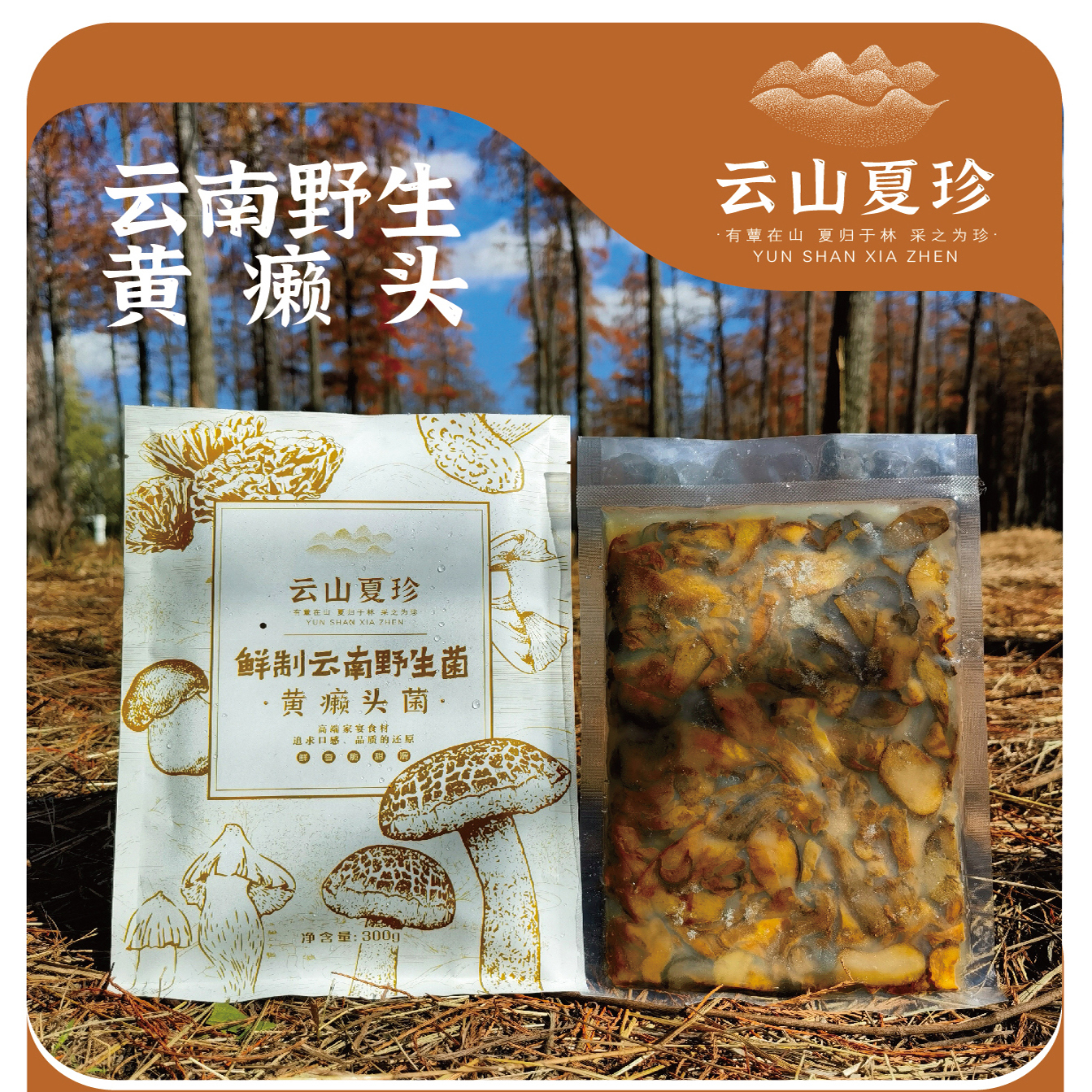 “云山夏珍”鲜制云南野生黄牛肝菌/300克/1袋/顺丰包邮/1