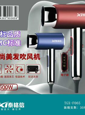 大功率泰格信电吹风机家用发廊专用大风力理发店美发护发速干风筒