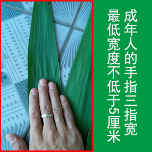 精品中国大陆辽河湿地野生芦苇叶新鲜粽叶200片送马莲清香味包邮
