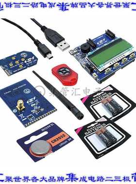 4010-AESK1W-915 开发板评估板 KIT DEMO KEYFOB SI4355 RX 915MH