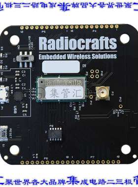 RC1880CEF-SPR-DB 开发板评估板 RIIOT DEVELOPMENT BOARD
