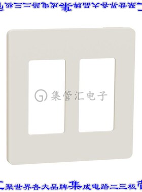 SQWP141002LA 连接器接插件2 GANG SCREWLESS MATTE WALL PLAT