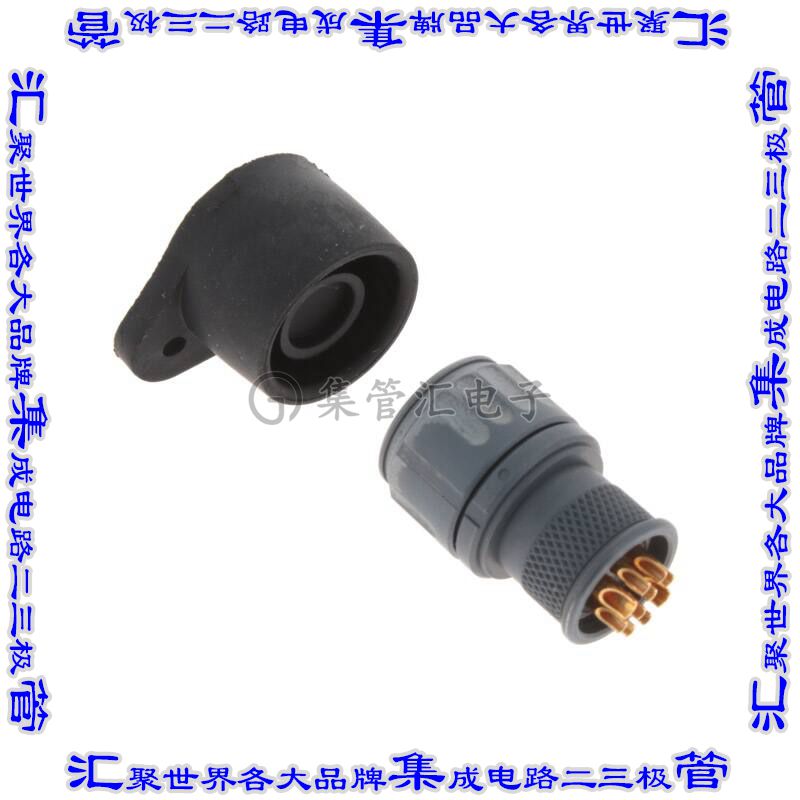 SCE2-B-L1K07-10APN 连接器接插件CONN RCPT MALE 10P GOLD SLDR