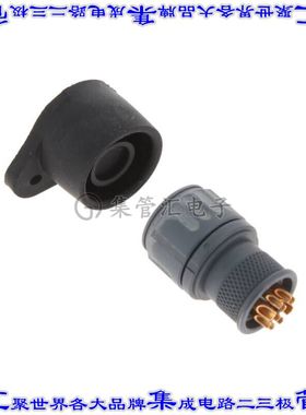 SCE2-B-L1K07-10APN 连接器接插件CONN RCPT MALE 10P GOLD SLDR