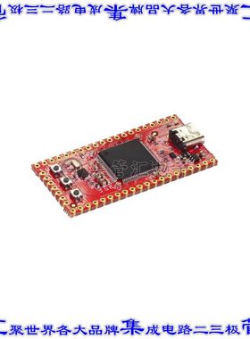 SCC-FSTK-B 开发板评估板 SITCORE FEZ STICK SBC