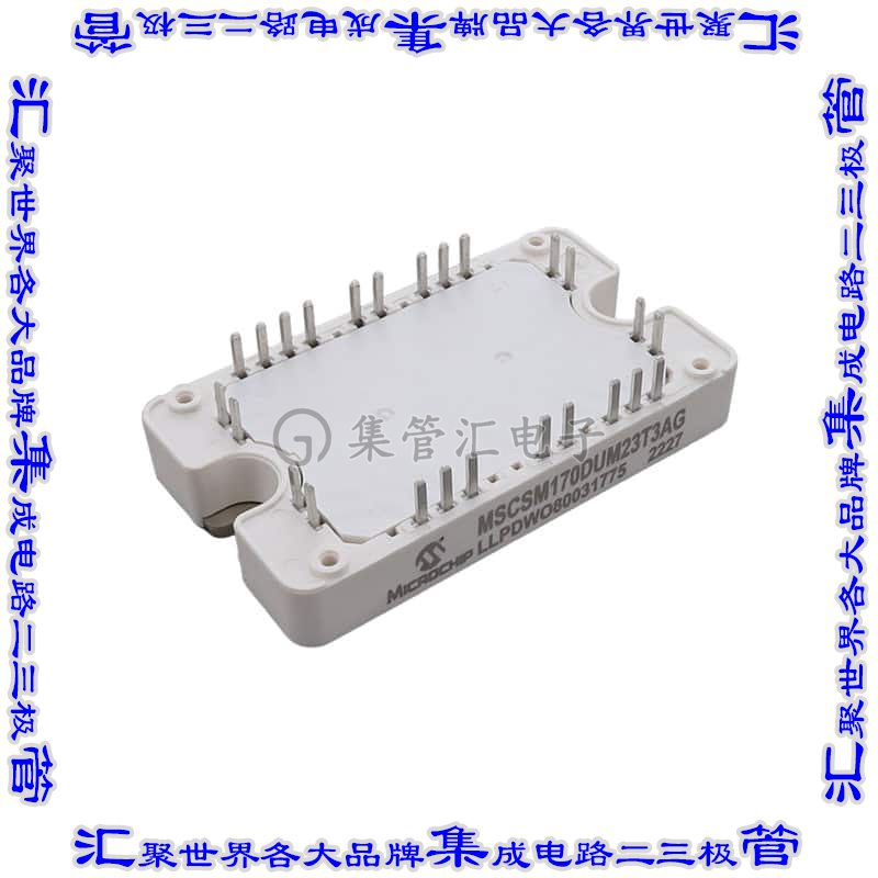 MSCSM170DUM23T3AG 晶体管 MOSFET 2N-CH 1700V 124A SP3F