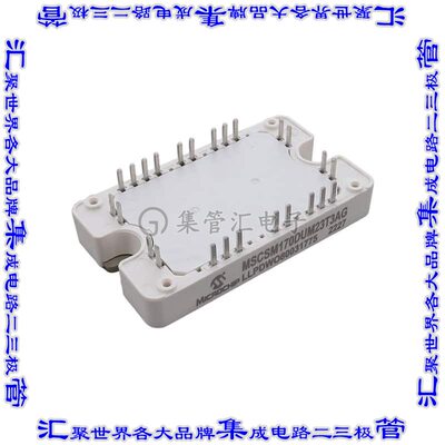 MSCSM170DUM23T3AG 晶体管 MOSFET 2N-CH 1700V 124A SP3F