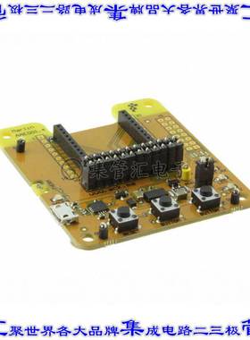 AAE001 开发板评估板 MARLIN BRD W/O AMW004-A01 HORNET