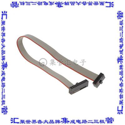 RTE0T00020KCAC1000J 开发板评估板 CABLE FOR THE E2 EMULATOR (