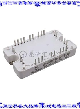 MSCSM170DUM11T3AG 晶体管 MOSFET 2N-CH 1700V 240A SP3F