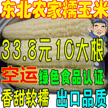 东北粘苞米10根棒新货黏玉米苞谷黑龙江特产农家新鲜即食甜糯玉米
