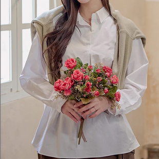 韩国代购大码女装2026靓丽冬装新款翻领宽松时尚套头气质衬衫特10