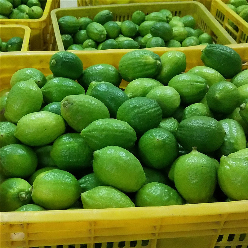 5斤新鲜广东香水柠檬一级果青果无籽柠檬奶茶店专用水果包邮