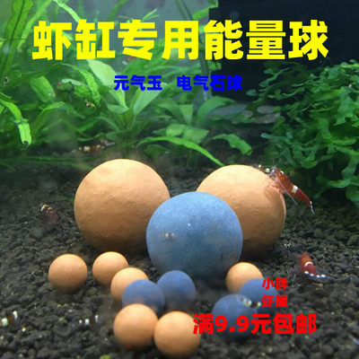 元气矿物能量培菌球水晶虾