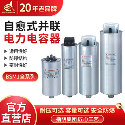 正品 指明集团  BSMJ0.28-0.45自愈式并联电容器  耐腐外壳圆柱形