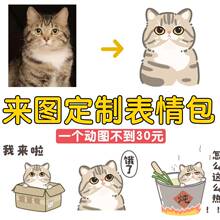 猫咪动态表情包定制动画卡通贴图微信表情Q版头像狗猫咪礼物定制