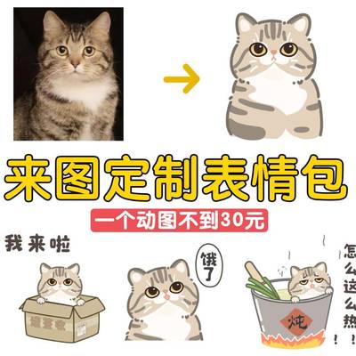 宠物猫表情包定制动画卡通礼物