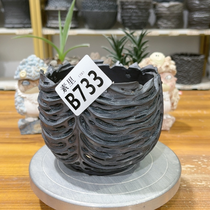 花盆口10.5高9.5