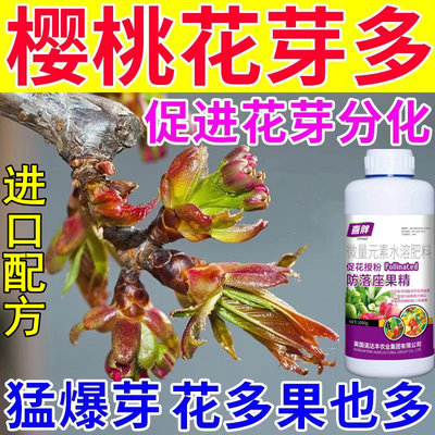 大樱桃点叶芽变花芽药点花剂樱桃催花授粉花芽分化素多花多果专用