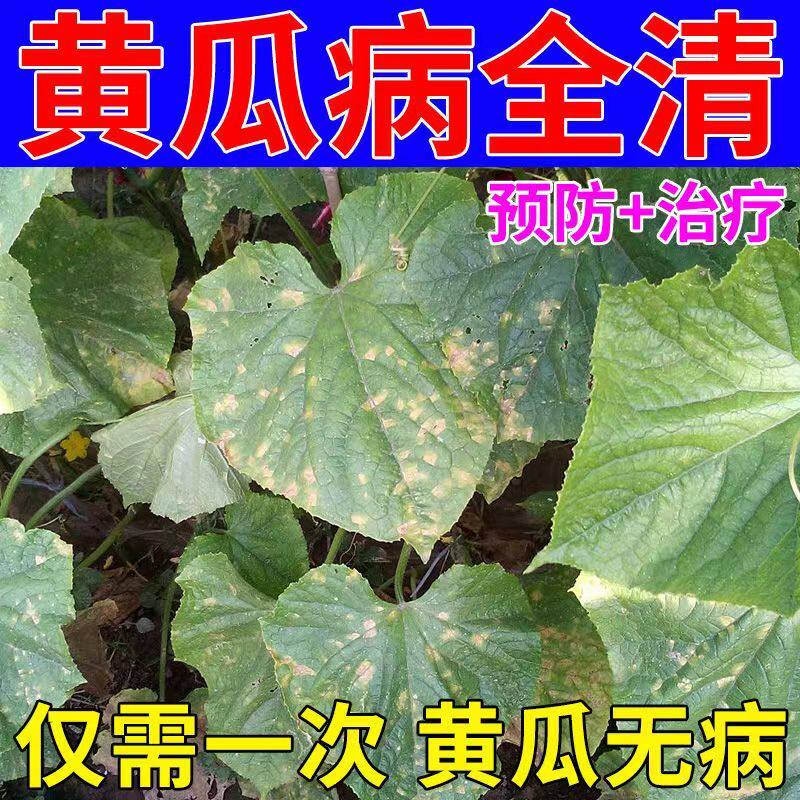 黄瓜专用黄瓜病全治靶斑病灰霉病角斑病斑点病霜霉病黄瓜杀菌剂