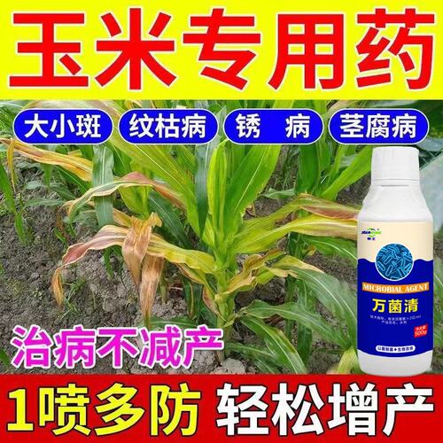 玉米专用病全治叶斑病纹枯病黄叶枯萎烂根烂杆锈病全清枯叶焦叶
