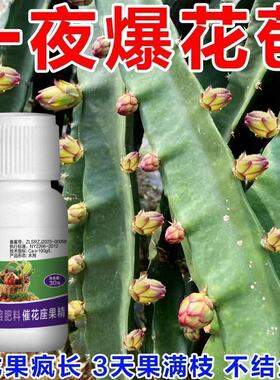 促长增产催芽生根火龙果专用肥料