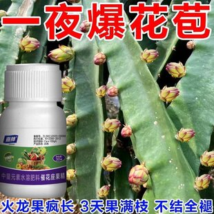 促长增产】火龙果专用肥料催芽生根增红增甜提质增产冲施肥水溶肥