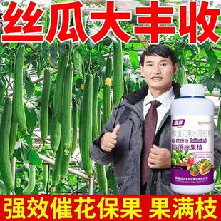 丝瓜授粉座果精座果灵果树授粉药瓜果蔬菜保花保果授粉专用叶面肥