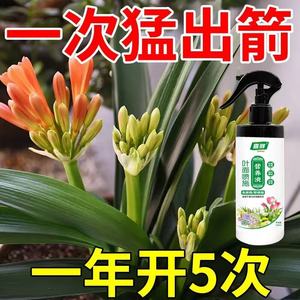 君子兰营养液养花肥料专用肥家用盆栽植物催花促箭通用型液体肥