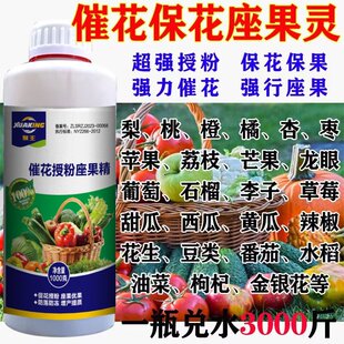 授粉座果精无需沾花座果灵果树授粉药瓜果蔬菜保花保果授粉专用剂