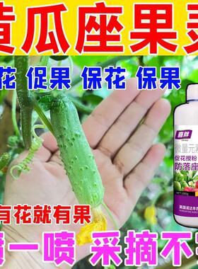 黄瓜坐果灵保花保果授粉药黄瓜西瓜番茄人参果辣椒甜瓜授粉座果精