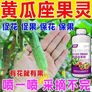 黄瓜坐果灵保花保果授粉药黄瓜西瓜番茄人参果辣椒甜瓜授粉座果精