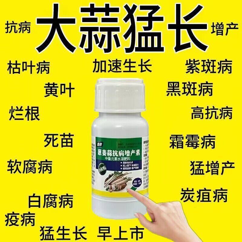 大蒜专用农药大蒜病全治大蒜锈病黄叶干尖叶枯病菌核病根腐软腐病