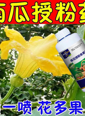 南瓜授粉座果精南瓜座果灵保花坐果药点花药沾花催花增瓜免人工