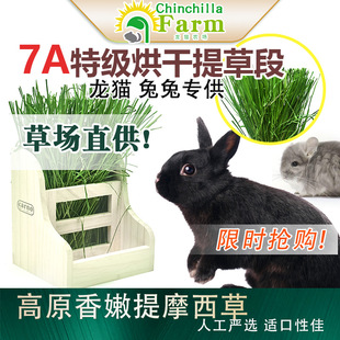 2025年新烘干提摩西草嫩杆提草段北提兔草兔子豚鼠龙猫宠物干草
